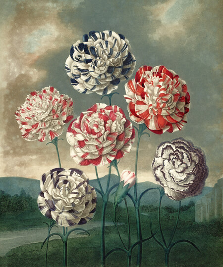 super-puper-vote-img