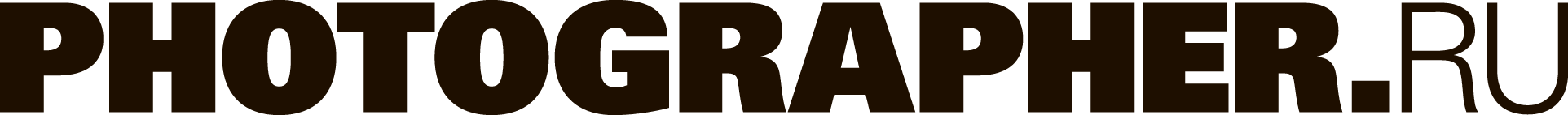 partner icon