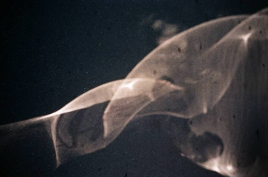 big