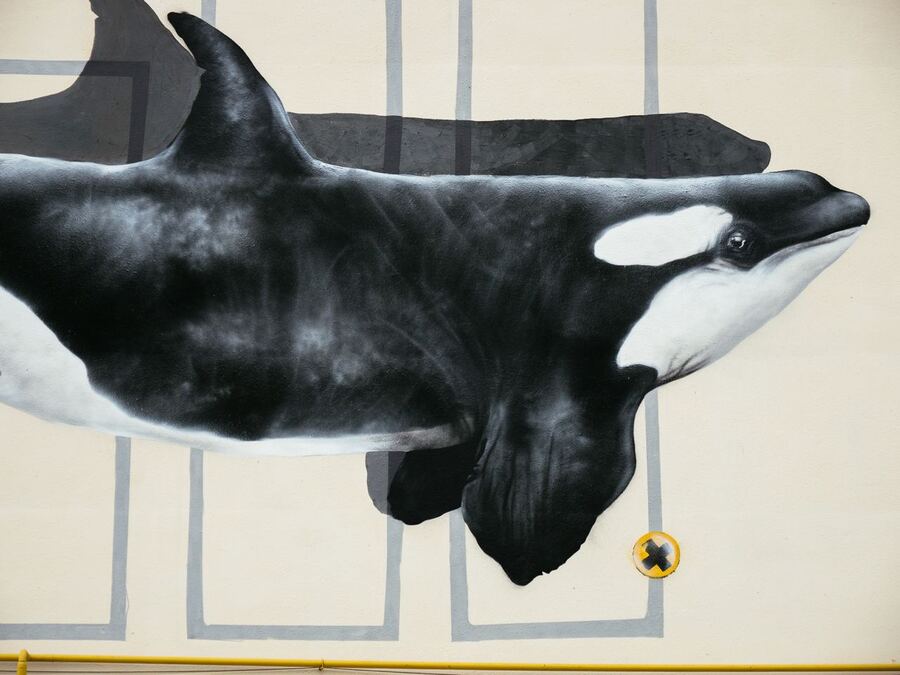 big