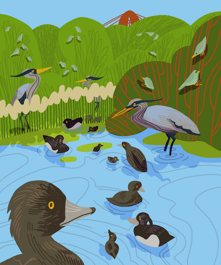 super-puper-vote-img