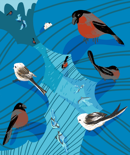 super-puper-vote-img