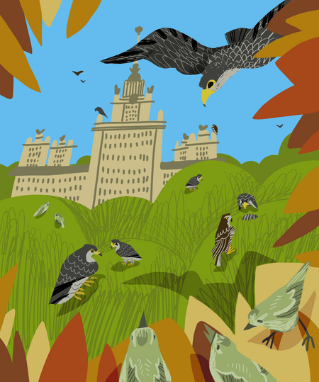 super-puper-vote-img