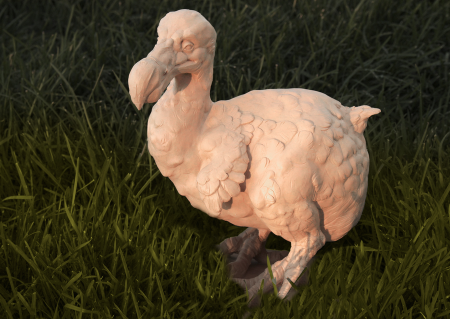 big