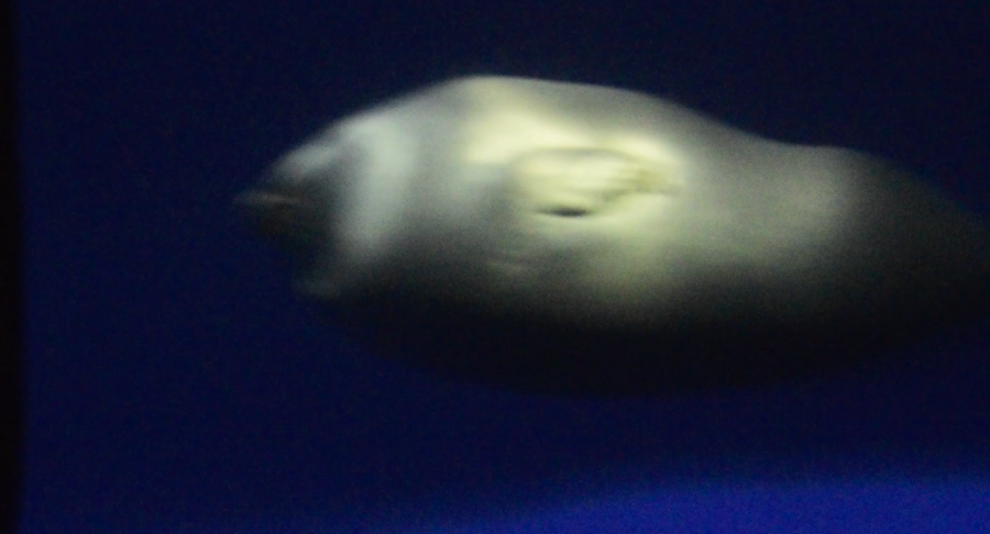 big