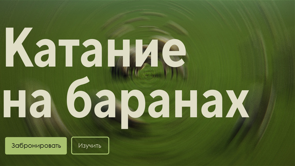 Катание на баранах