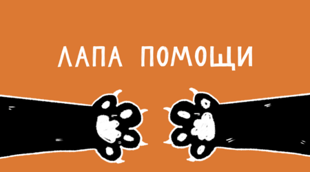 Лапа помощи