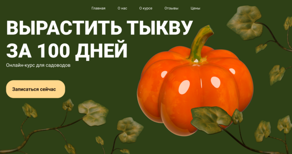 Как вырастить тыкву