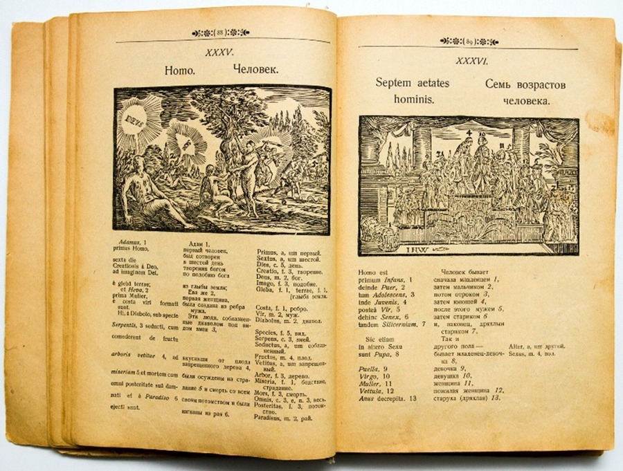 Мир чувственных вещей в картинках коменский книга. Я а коменский мир в картинках. Я а коменский мир в картинках. Я а коменский мир в картинках. Я а коменский мир в картинках.