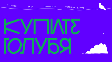 Продаются голуби! Не&nbsp;дорого!