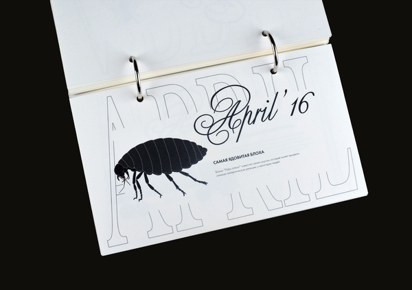 Календарь рекордов Гиннесса