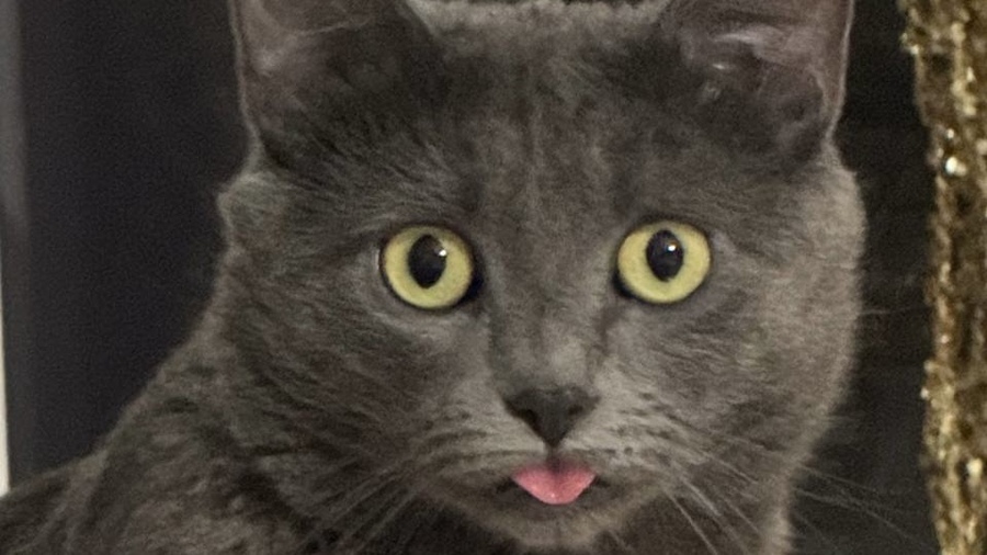 big
