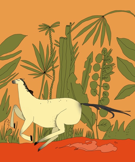 super-puper-vote-img