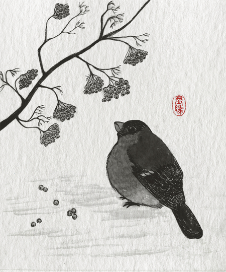 super-puper-vote-img