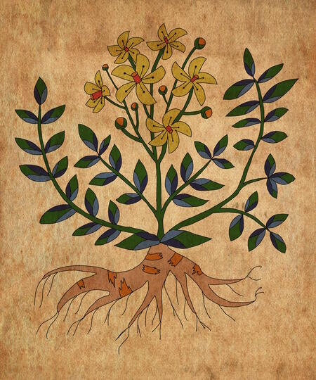 super-puper-vote-img