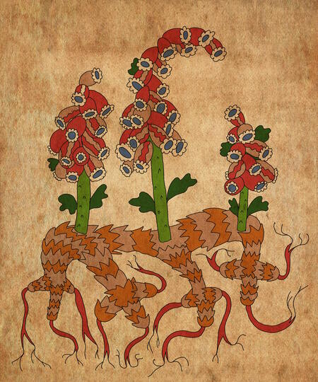 super-puper-vote-img