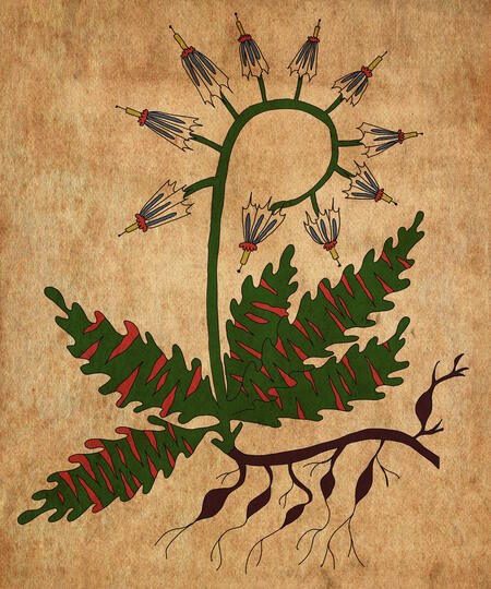 super-puper-vote-img