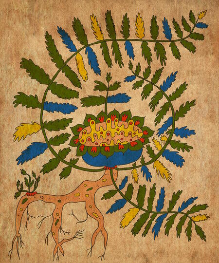 super-puper-vote-img