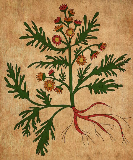 super-puper-vote-img