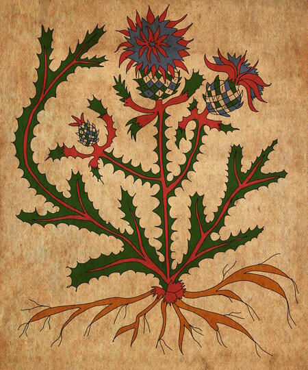 super-puper-vote-img