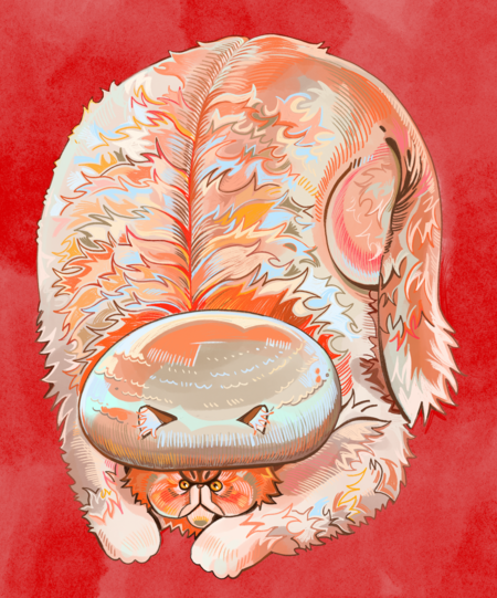 super-puper-vote-img