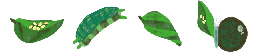 big