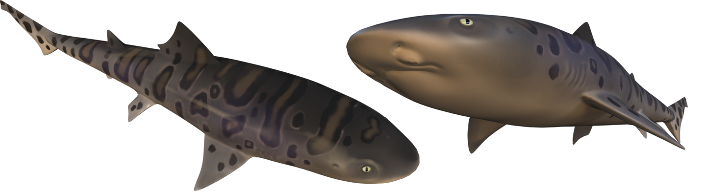 big