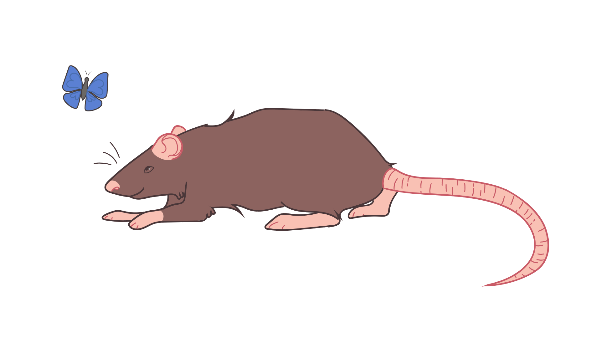 big