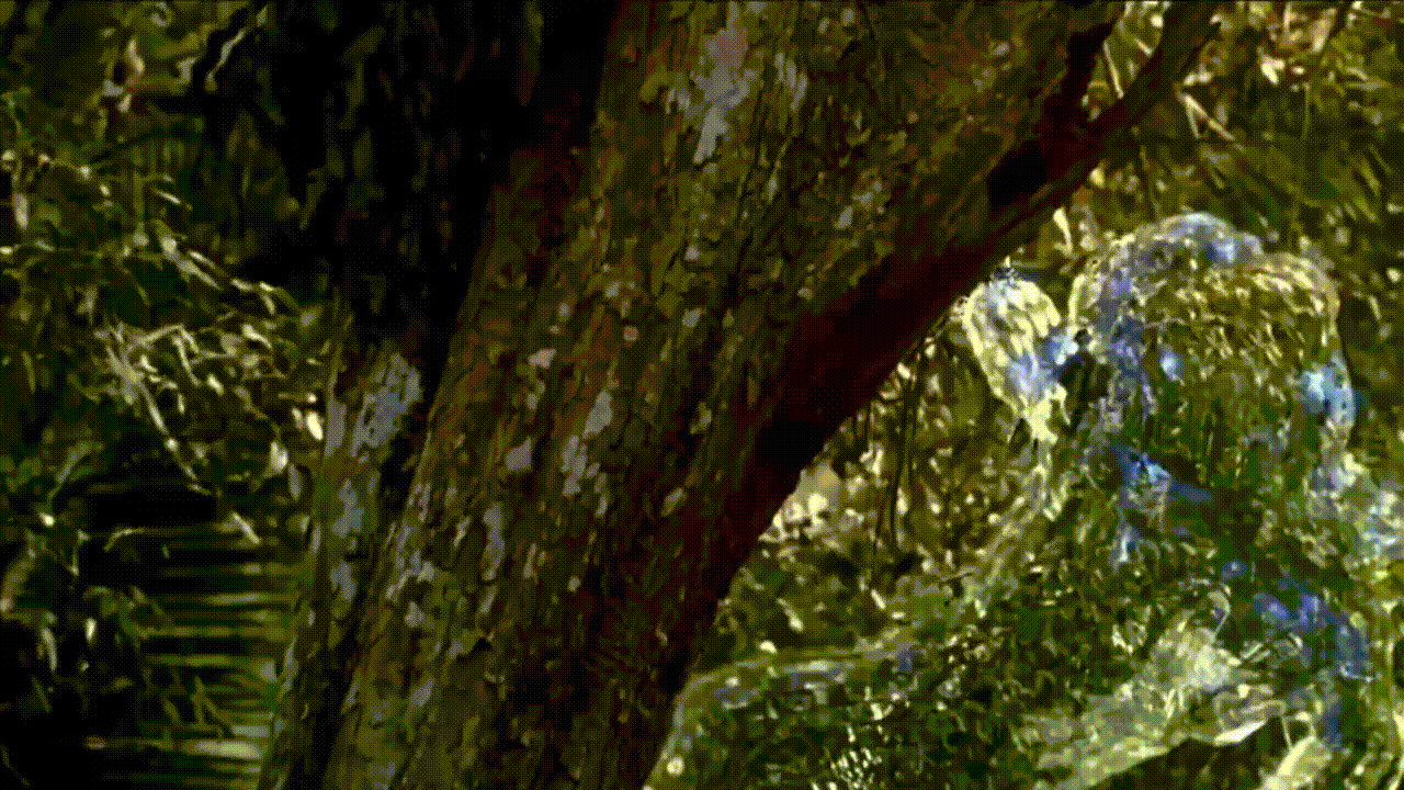 big