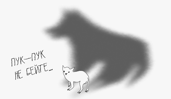 Стереотипы о маленьких собаках 