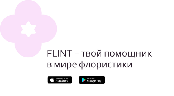 FLINT