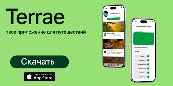 Terrae