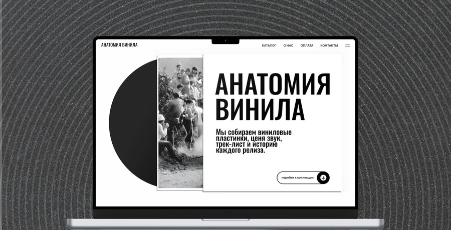 Анатомия Винила | Лендинг