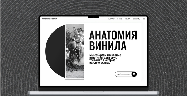 Анатомия Винила | Лендинг