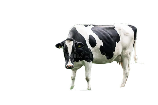 Сборник анекдотов "DaDa"