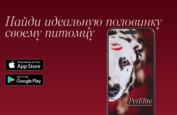 Лендинг для приложения знакомств собак 