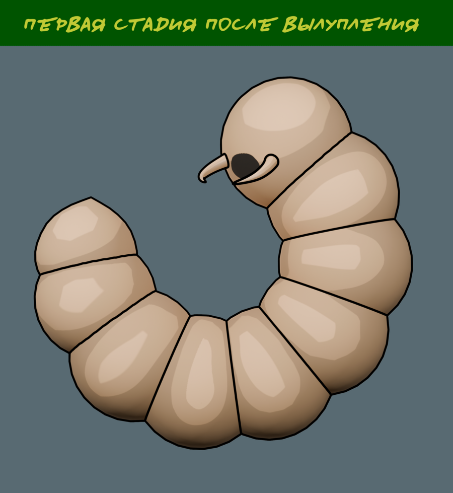 big