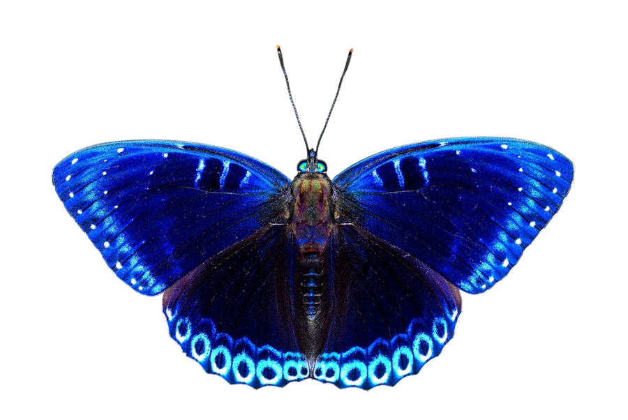 big