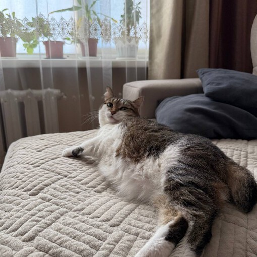 big