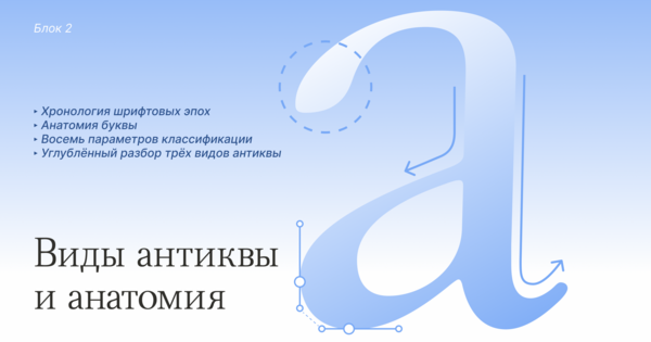 Виды антиквы и анатомия