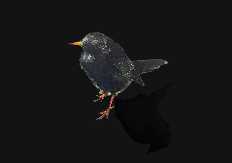 big
