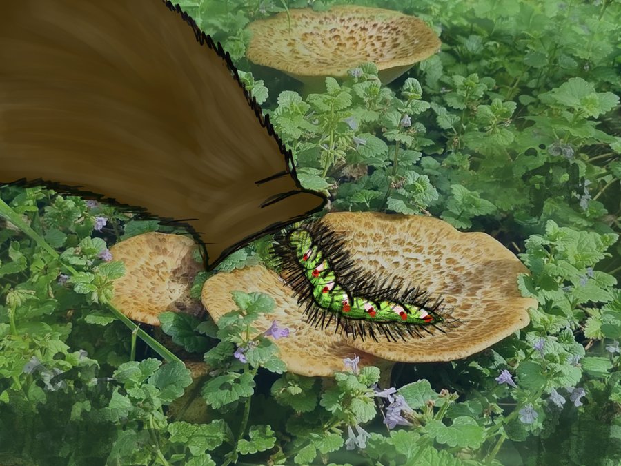 big