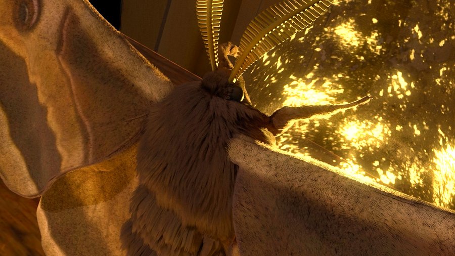 big