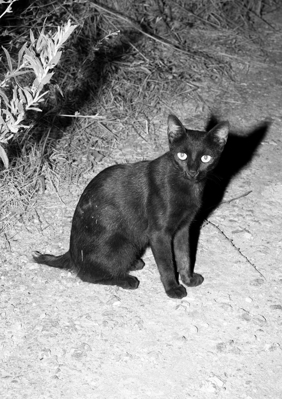 big