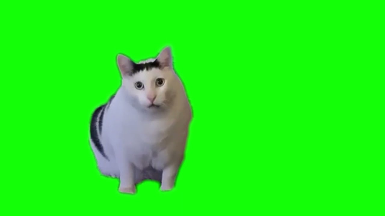 big