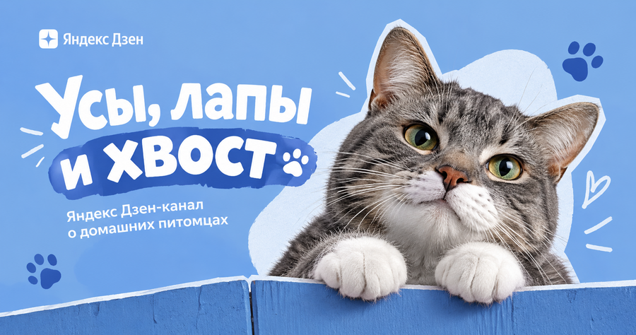 Усы, лапы и хвост