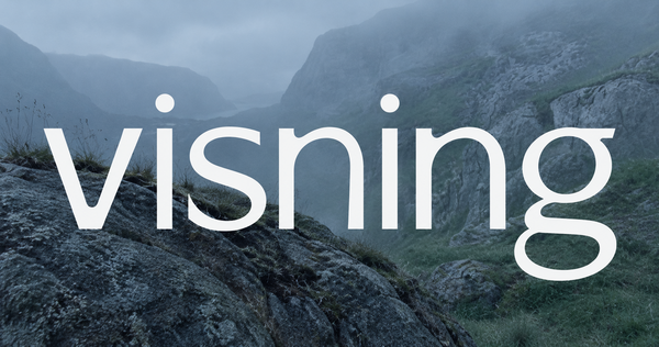 Visning