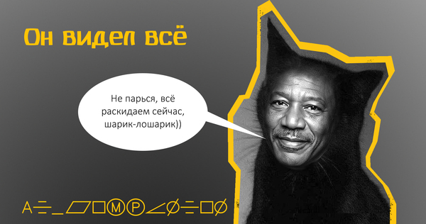 Кот, который видел всё