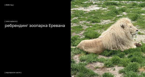 Презентация работы (ребрендинг зоопарка Еревана / Армянский зооморфный инициал: животное как конструктивный элемент буквы)