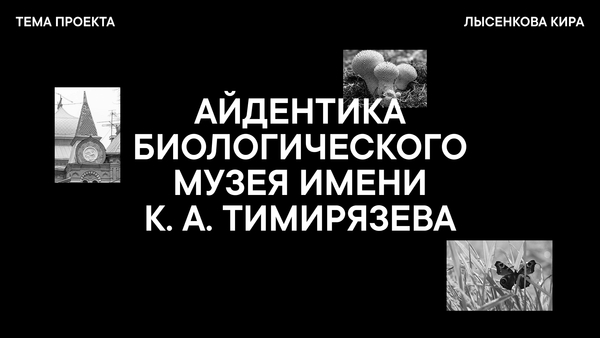 Айдентика Биологического музея  К. А. Тимирязева